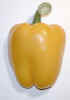 foodpepper0732.jpg (249828 bytes)