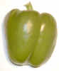 foodpepper0736.jpg (260492 bytes)