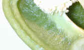 foodpepperchoped0746.jpg (389920 bytes)