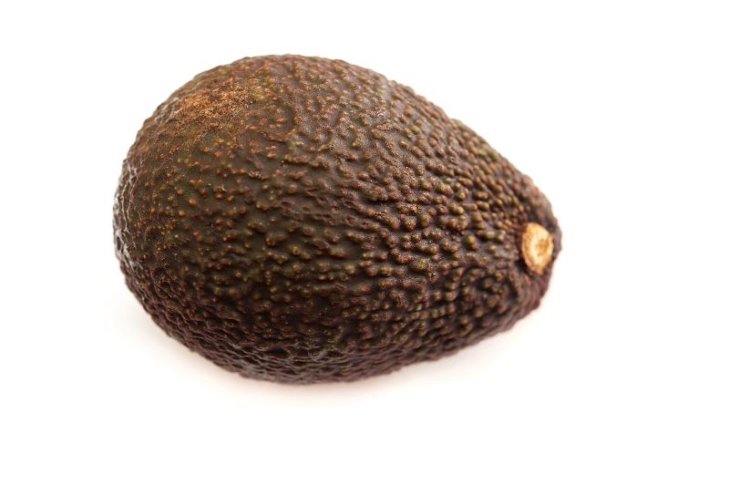 Free Stock Photo: Ripe whole fresh avocado pear with a rough textured purple skin, a popular tropical salad ingredient, on a white background