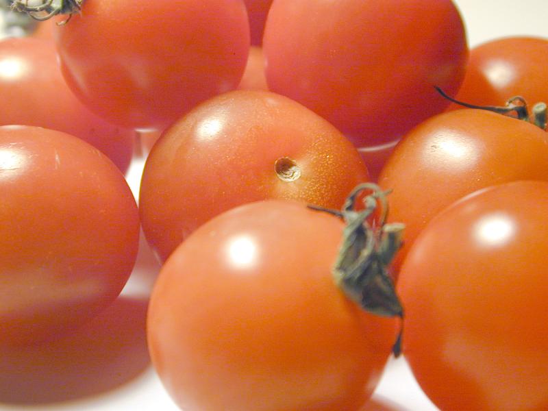 Free Stock Photo: Fresh uncooked ripe red cherry tomatoes, close up background view with focus to one in the centre of the frame