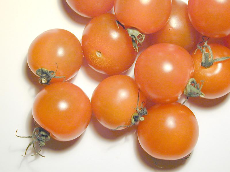 Free Stock Photo: Group of loose fresh ripe cherry tomatoes off the vine on a white background