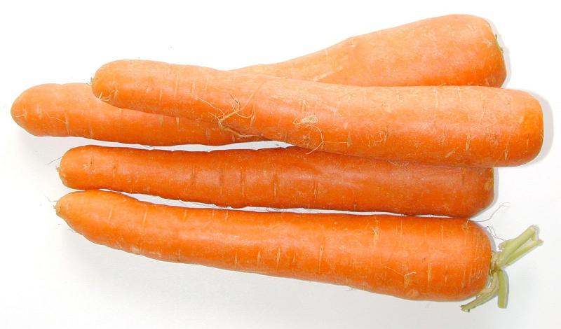 Free Stock Photo: Four fresh carrots, natural source of vitamins A and K, close-up on white