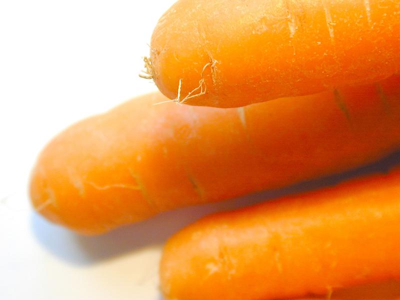 Free Stock Photo: Close up texture of fresh raw carrots on a white background with focus to a single carrot in the top right of the frame