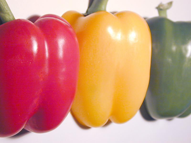 Free Stock Photo: Three colorful fresh bell peppers arranged in a row with a red, yellow and green whole pepper or capsicum