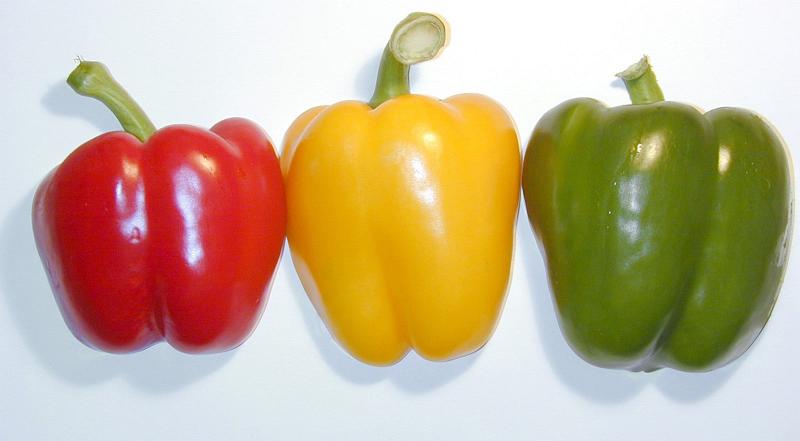 Free Stock Photo: Fresh whole colorful red, yellow and green sweet bell peppers arranged in a line on a white background