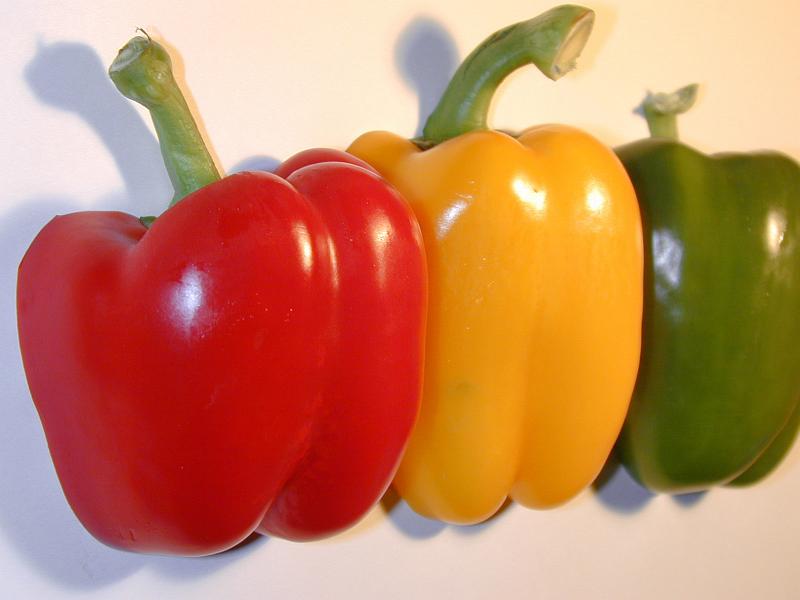 Free Stock Photo: Three colorful sweet bell peppers with a fresh whole red, yellow and green pepper lined up in a receding row on white with shadow