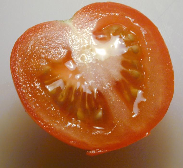 Free Stock Photo: Juicy succulent ripe red tomato cut through in cross-section to show the pips and flesh, a popular vegetable and salad ingredient rich in antioxidant and vitamins
