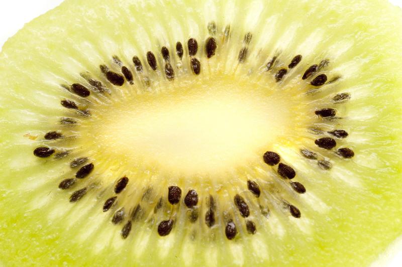 Free Stock Photo: Section of a fresh kiwifruit with seeds surrounding the inner core, close-up