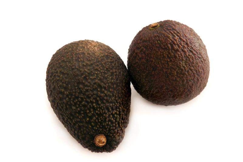 Free Stock Photo: Two whole fresh ripe avocado pears, Persea americana, with one viewed on its side and the other from the top over white