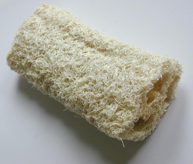 Free Stock Photo: natural bath scrub sponge made from the loofah plant fruit