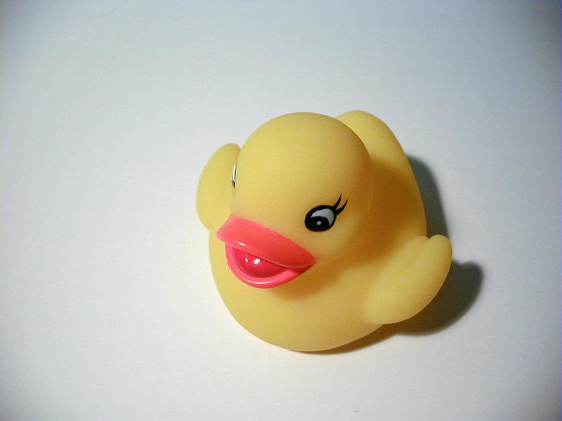 Free Stock Photo: a rubber duck bath toy