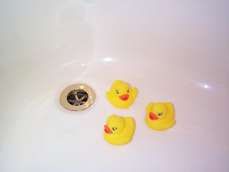 Free Stock Photo: three rubber duck bath toys in an empty bath