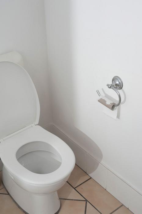 Free Stock Photo: a domestic toilet with no toilet paper and plenty of copy space