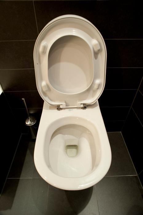Free Stock Photo: head on view of a toilet with seat up
