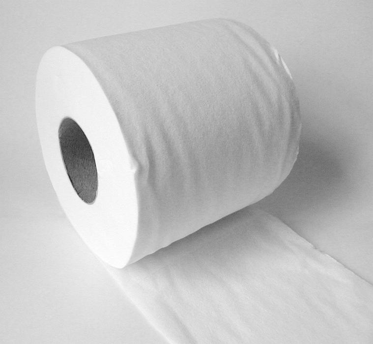 Free Stock Photo: white toilet roll paper