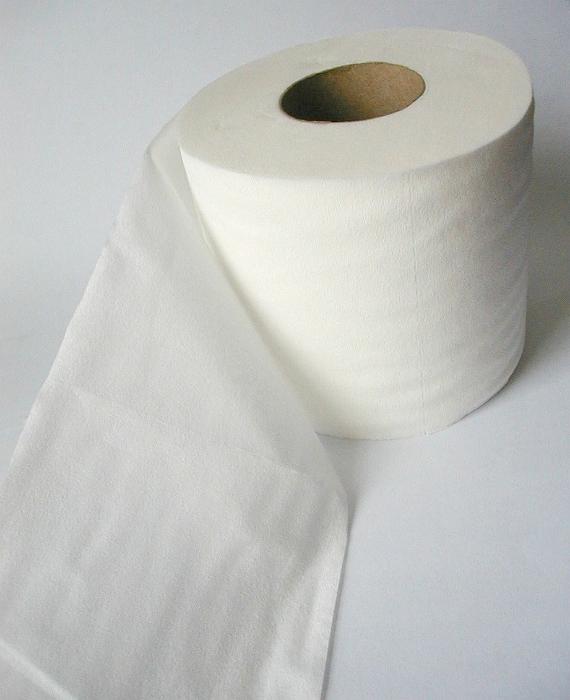 Free Stock Photo: a roll of white toilet paper