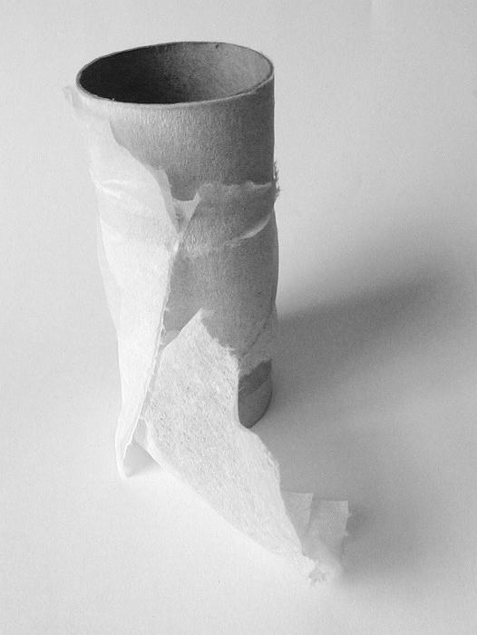 Free Stock Photo: concept - problem - run out of toilet paper