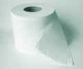 toiletroll04100071.jpg (297055 bytes)