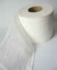 toiletroll04100073.jpg (456498 bytes)