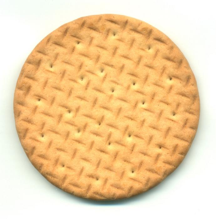 Free Stock Photo: Closeup view of the texture of a commercial plain digestive wholegrain biscuit eaten as an accompaniment to cheese and other savory food
