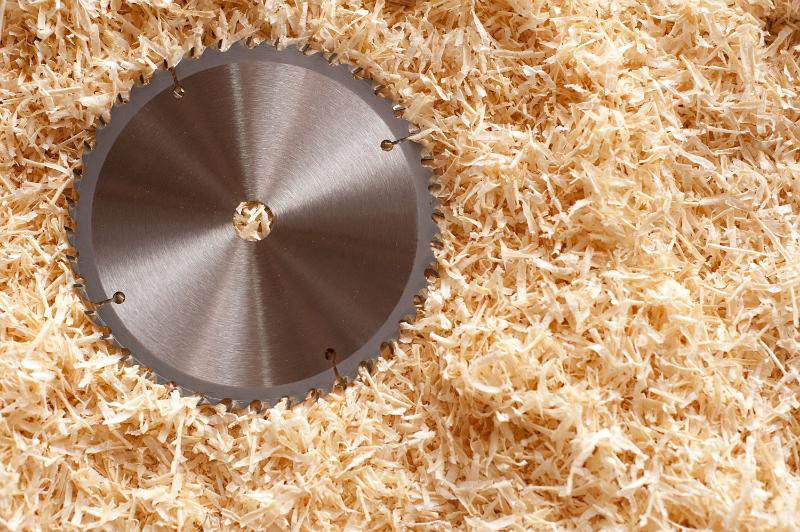 Free Stock Photo: Single circular saw blade laying on wood shavings