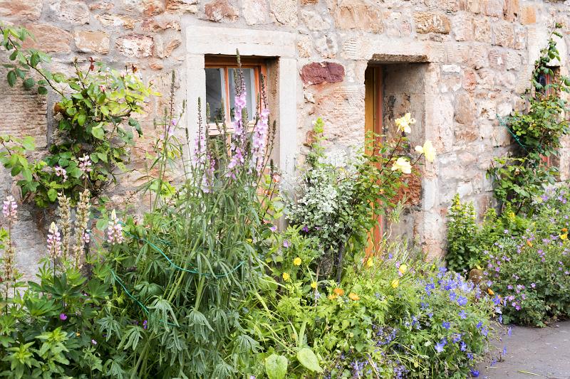 Free Stock Photo: Country garden with shrubs and flowering plants surrounding a rustic brick house and doorway