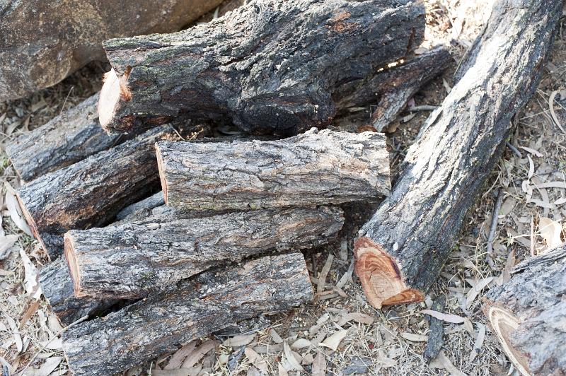 Free Stock Photo: Cut logs from woodland trees heaped on the ground for winter fuel in a high angle view