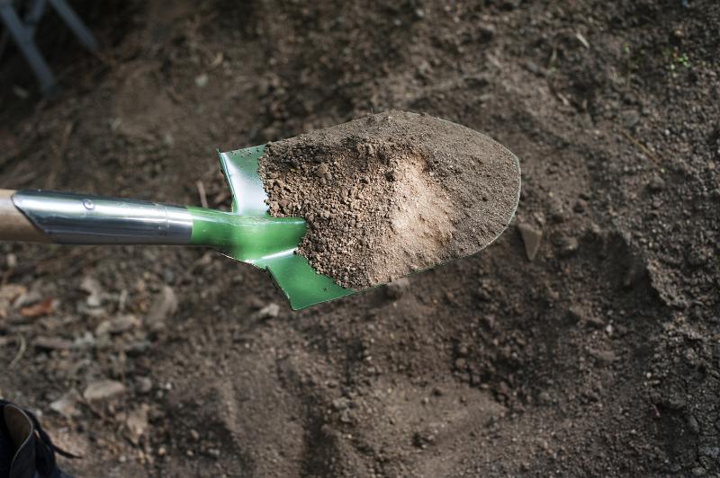 Free Stock Photo: Digging in the garden with a green metal shovel or spade turning over the earth for planting in spring, close up of the blade