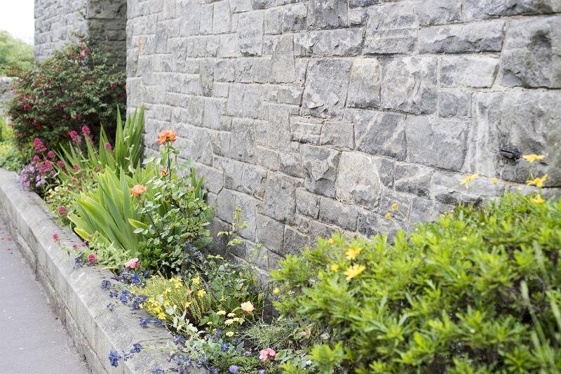 Free Stock Photo: Leafy green garden border along a stone wall of a country cottage in an oblique receding view