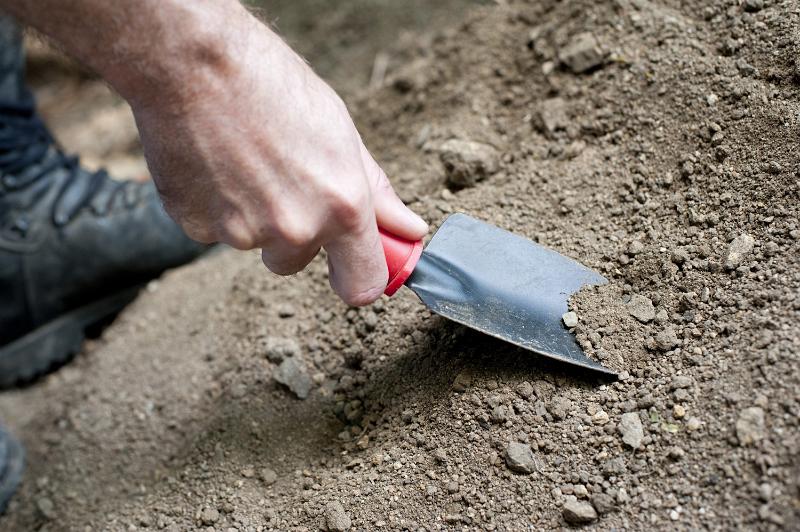 Free Stock Photo: Man digging in his garden in the dry soil with a small trowel as he prepares to transplant spring seedlings, closeup of his hand