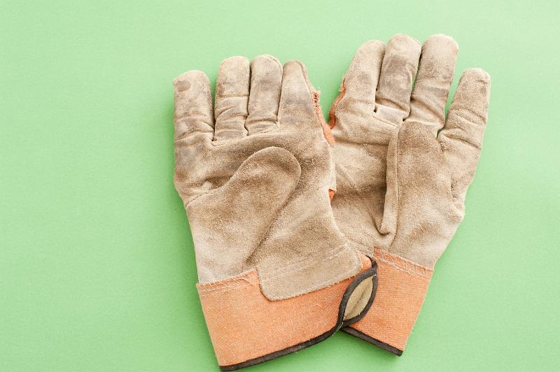 Free Stock Photo: Pair of used leather gardening gloves laying on a green background with copyspace, viewed from above