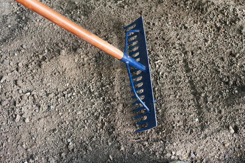 Free Stock Photo: Man raking over newly prepared garden soil with a metal rake preparing it for plantings seeds and spring seedlings