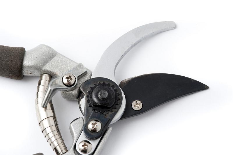 Free Stock Photo: Open pair of garden pruning shears or secateurs with a close up of the blades and recoil spring on a white background