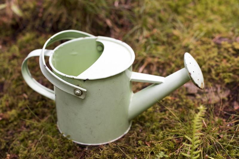 Free Stock Photo: Small white metal vintage watering can with large spout standing on moss and grass outdoors in a garden viewed high angle