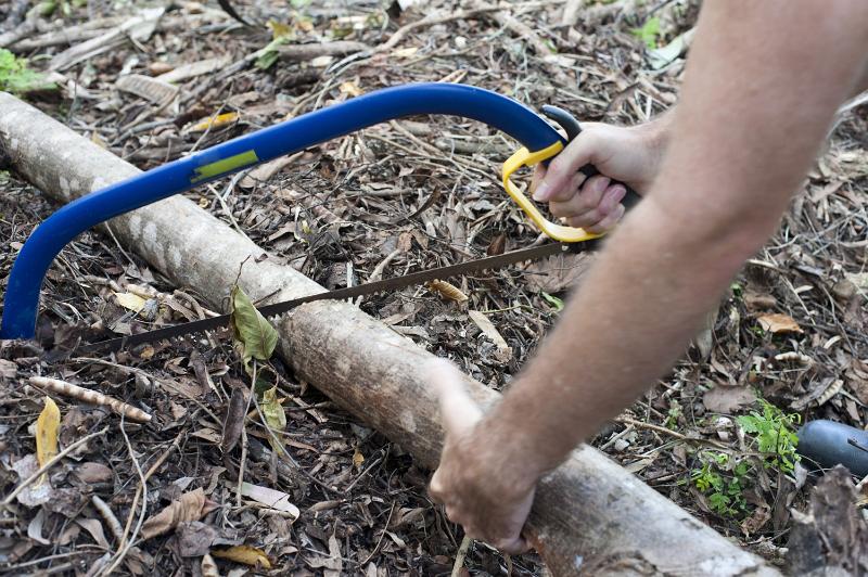 Free Stock Photo: Man cutting a fallen branch on the ground in his garden with a pruning saw, close up of the saw and his hands