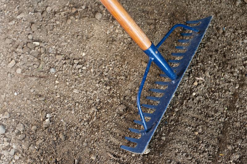 Free Stock Photo: Raking new garden soil in spring with a metal toothed rake to level and sift soil for planting seeds or transplanting seedlings