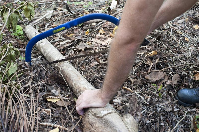 Free Stock Photo: Man clearing up in the garden sawing a log lying on the ground with a pruning saw, close up of his arms and the saw