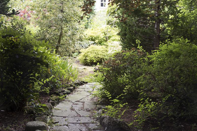 Free Stock Photo: Crazy paving path leading through leafy green bushes to a secret garden in a scenic landscape