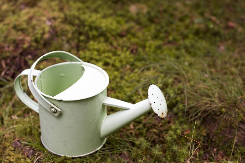 Free Stock Photo: Small vintage watering can on the ground in garden, viewed from high angle with copy space