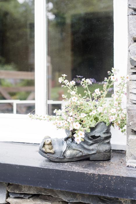 Free Stock Photo: Small white flowers growing from old black leather shoe outdoors, window sill decoration in a garden
