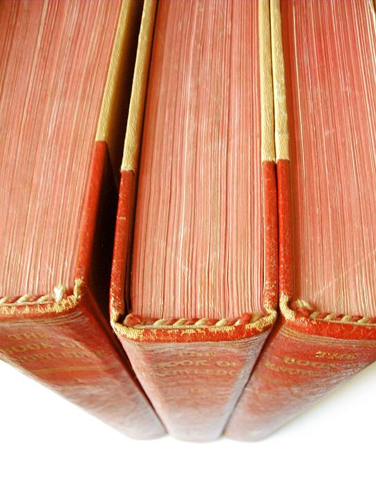 Free Stock Photo: Three red leather bound books viewed from the top of the spine and pages looking down to a white background
