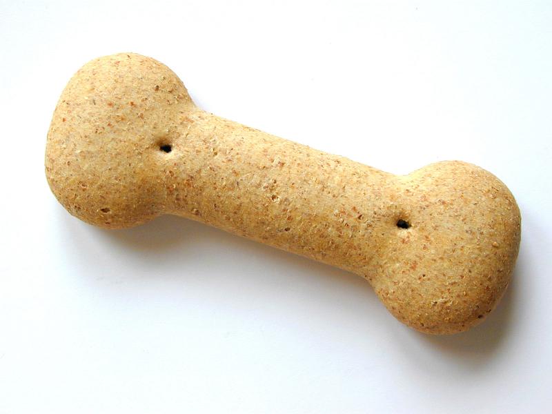 Free Stock Photo: Studio shot of a bone shaped crunchy dog biscuit over white background