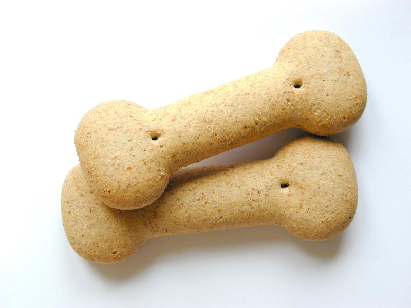 Free Stock Photo: Closeup of two bone shaped dog biscuits providing a healthy nutrition for your pet on a white background