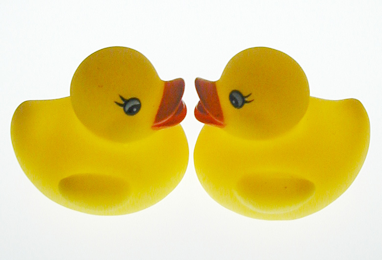 Free Stock Photo: Still Life of Pair of Yellow Rubber Ducks Facing Each Other on White Background - Two Yellow Duck Tub Toys Mirroring Each Other in Studio