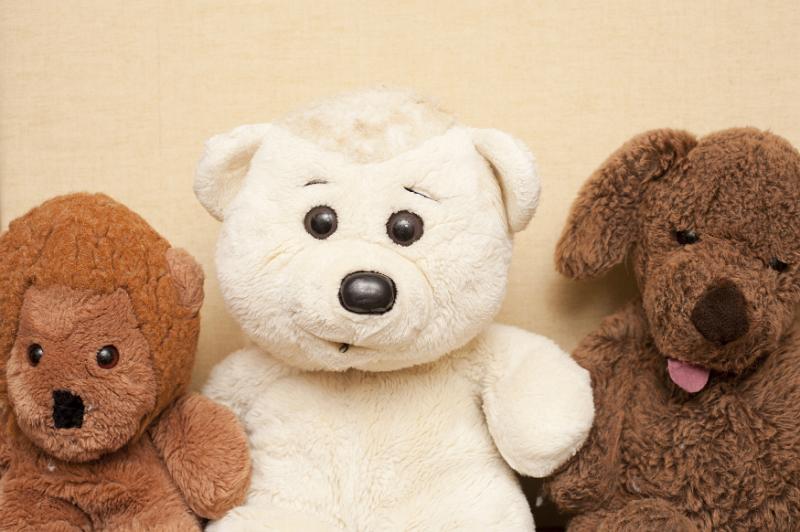 Free Stock Photo: Three different cute soft cuddly soft plush toy bears with a white polar bear in the center, close up of their faces in a row against a wall