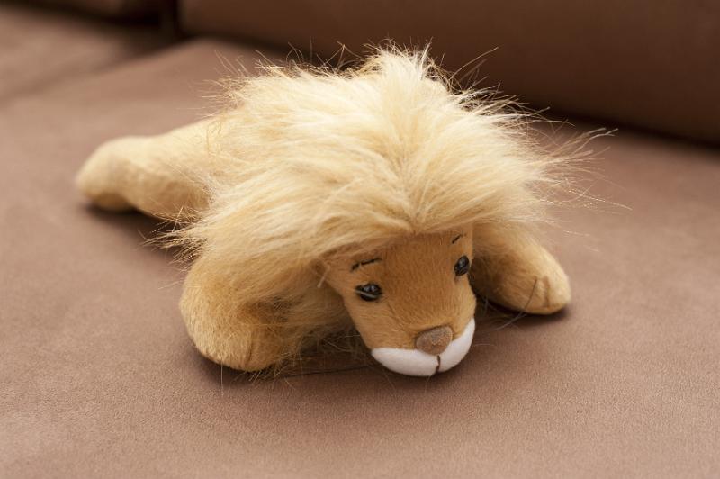 Free Stock Photo: Cute stuffed lion with a blond mane lying on the floor of a kids nursery or playroom, high angle view