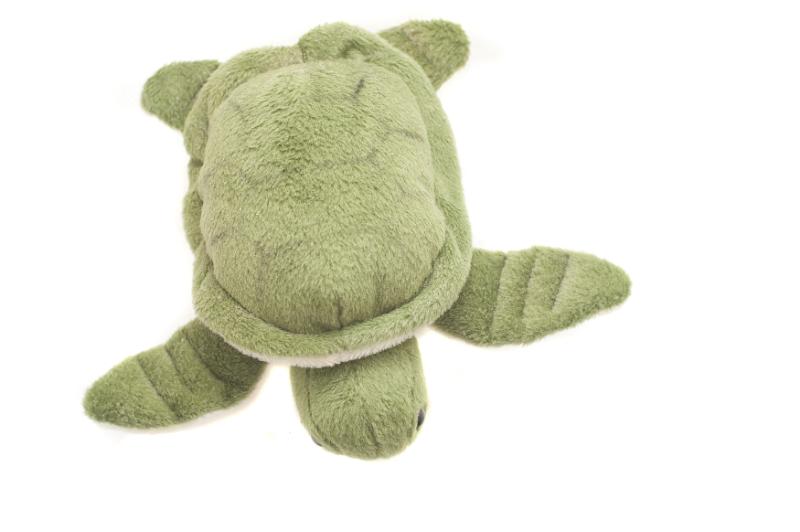Free Stock Photo: Top view of cute green plush stuffed animal turtle on isolated white background