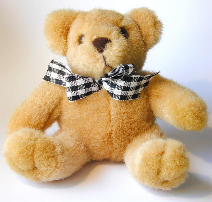 Free Stock Photo: Soft cuddly plush toy teddy bear wearing a black and white checkered bow tie sitting against a white background