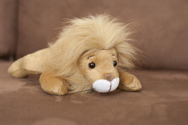 Free Stock Photo: Fun little soft stuffed lion toy with a bushy blond mane lying on the floor viewed low angle with focus to the head